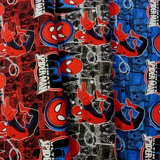 Ultimate Spiderman - Amazing Spider-Man in Black