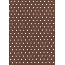 Sweat Organic Cotton Alex braun