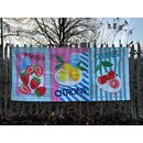 Tuttifrutti - Canvas Panel